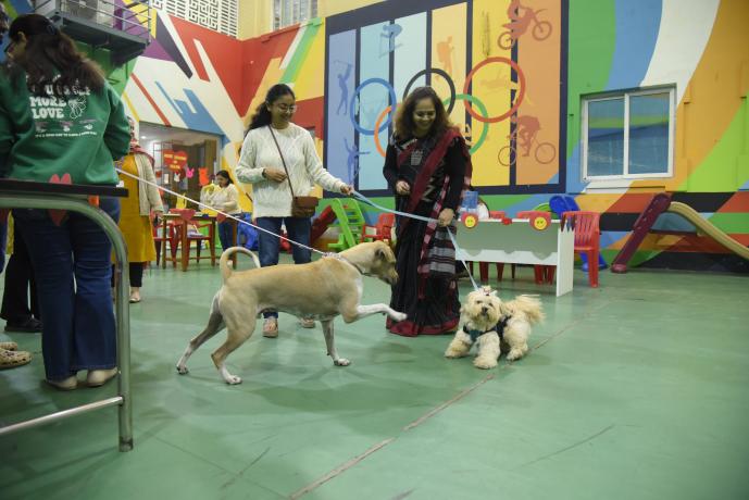 Pet Day_3