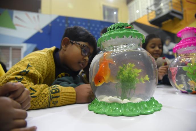 Pet Day_5