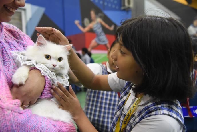Pet Day_1